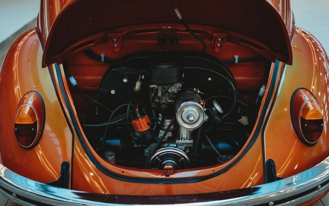 Volkswagen Garbus cena 79500 przebieg: 2000, rok produkcji 1969 z Kalisz małe 352